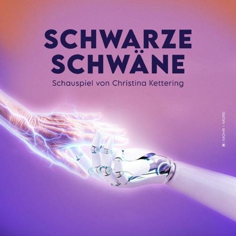  GRENZLANDTHEATER _ SCHWARZE SCHWÄNE