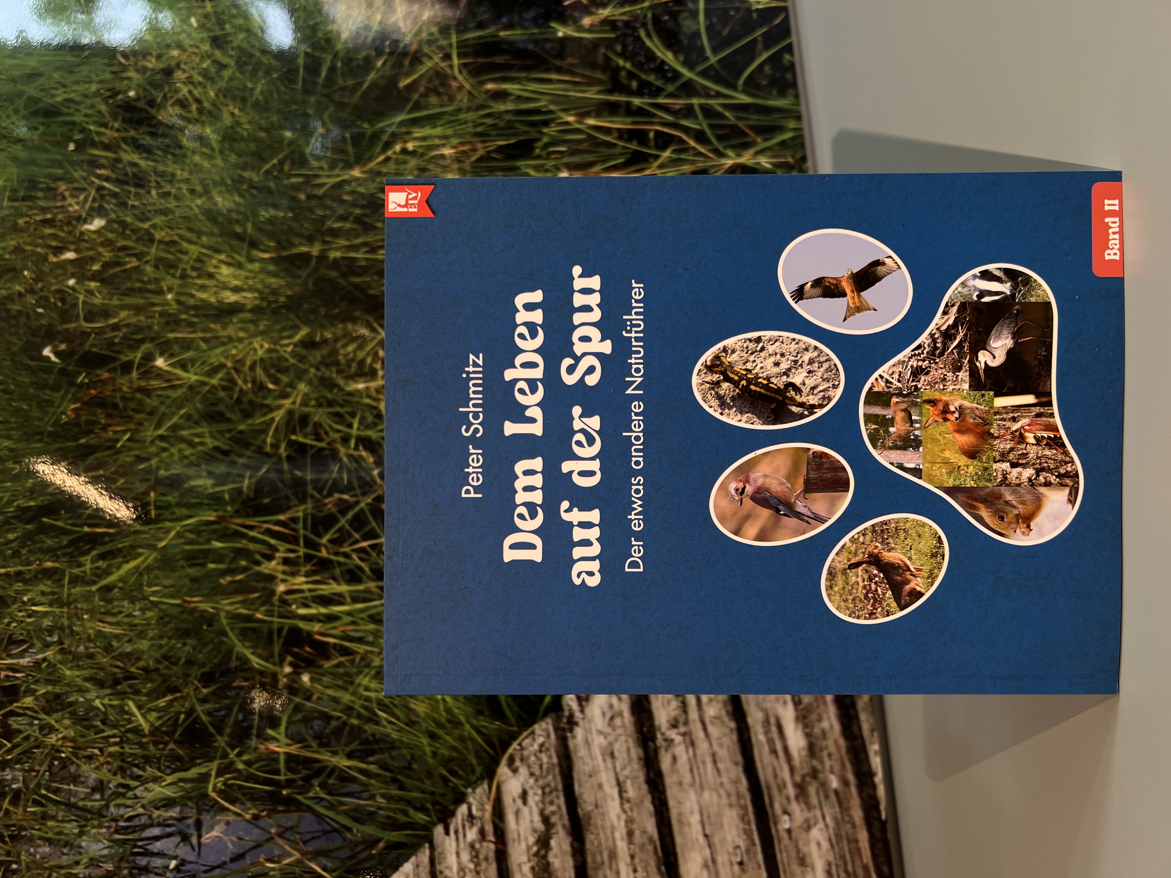 Sur les traces de la vie – Un guide nature pas comme les autres