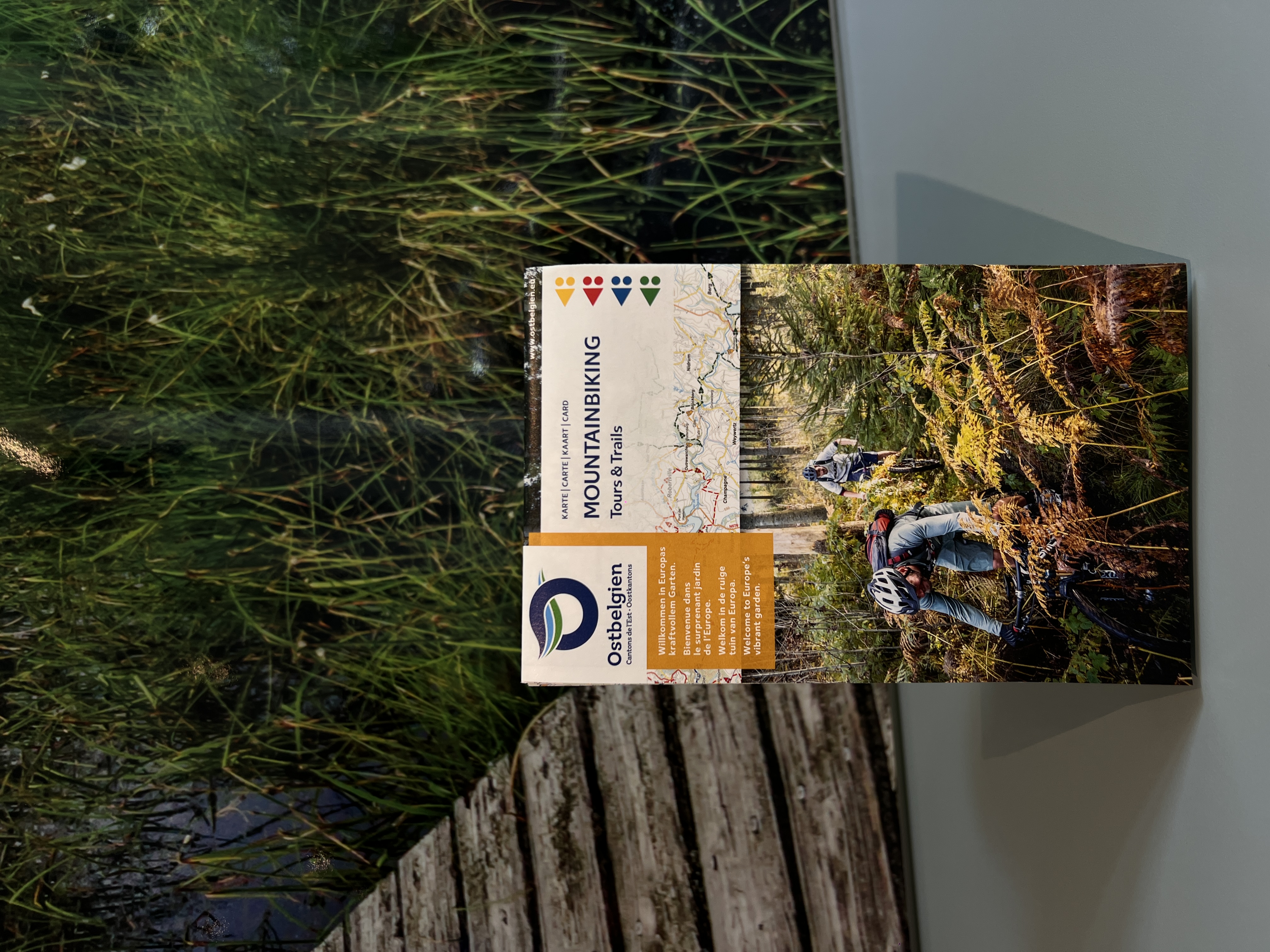 Mountainbiking: Tours & Trails
