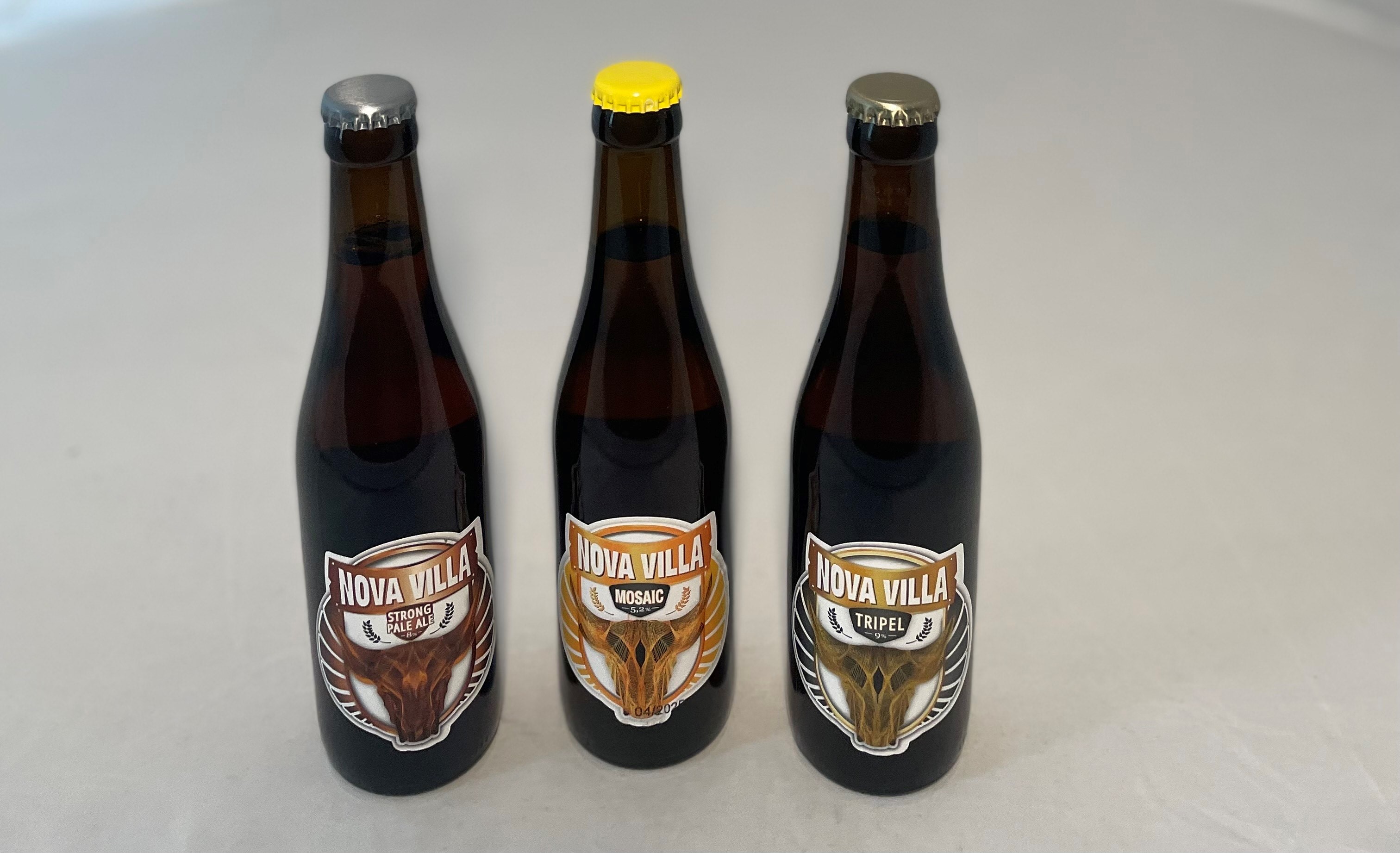Nova villa Bier (Pro Flasche)