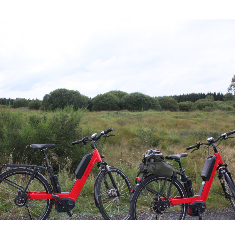 E-Bike + City-bikeverhuur E-Bike + City-bikeverhuur