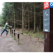 Trimm-Dich Pfad Trimm-Dich Pfad